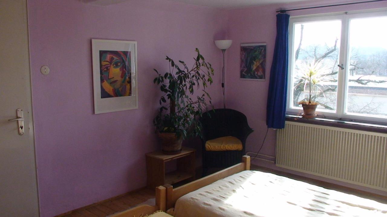 Apartamento Haus Wunderlich Sigmaringen Exterior foto